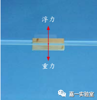 单元知识点： 教科版五下第二单元《沉与浮》知识点梳理