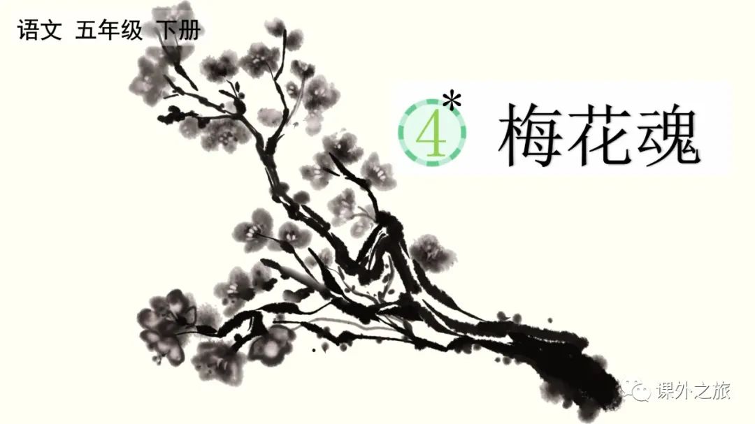 统编版语文五年级下册 第一单元 第4课《梅花魂》+图文解读