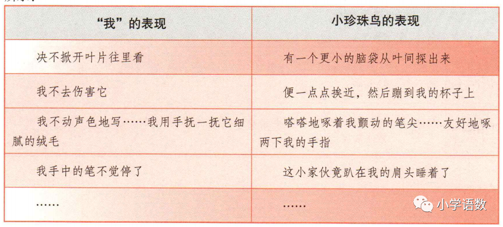 统编版语文五年级上册 第一单元 第4课《珍珠鸟》知识点+图文解