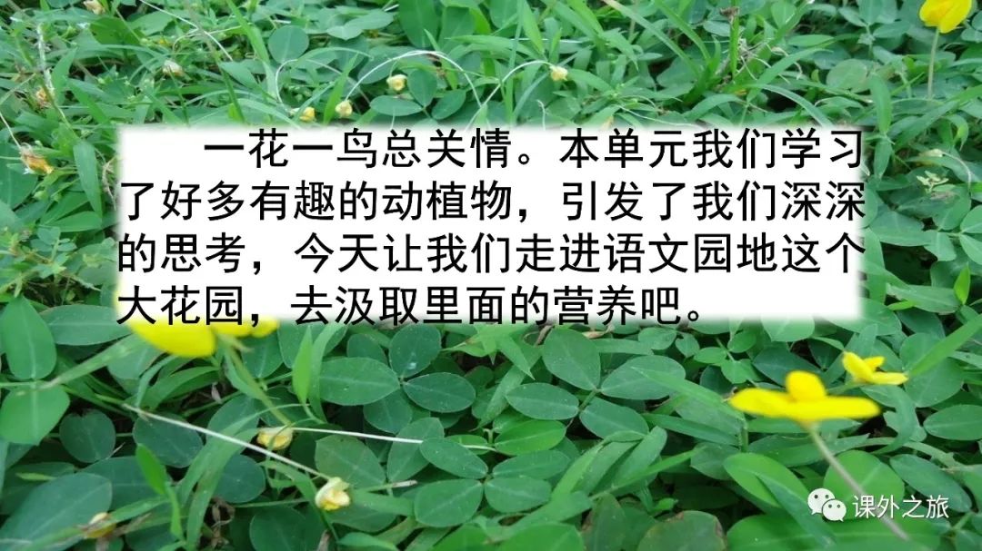 统编版语文五年级上册 第一单元 《语文园地一》知识点+图文解
